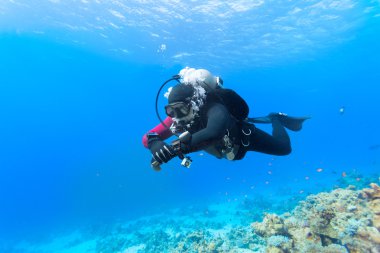 Scuba diver Red Sea'deki/daki mercan resif üzerinde yüzen.