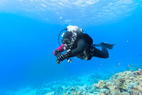 Buceador flotando sobre arrecife de coral en el Mar Rojo . — Foto de Stock