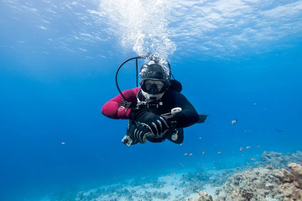 Buceador flotando sobre el arrecife de coral en el Mar Rojo y mirando — Foto de Stock