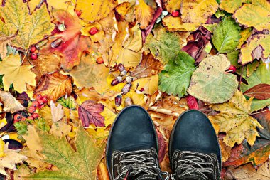 Sonbahar parkında renkli yaprakların üzerinde duran insan ayağı. Sonbahar yeşilliklerinde çizmeli bacakların kavramsal görüntüsü. Üst Manzara. Yukarıdan görüntüle.