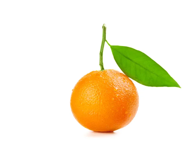 Ripe orange fruit with drops of water on the skin — Stock Photo, Image