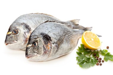 Dorado balığı