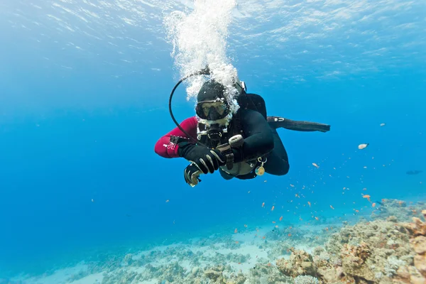 Buceador macho nadando bajo el agua — Foto de Stock