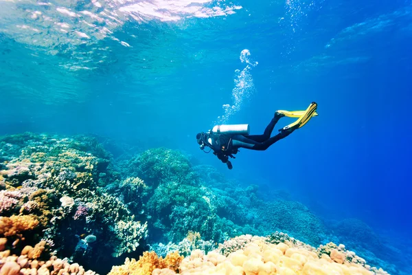 Female scuba diver swimming under water Stock Photo
