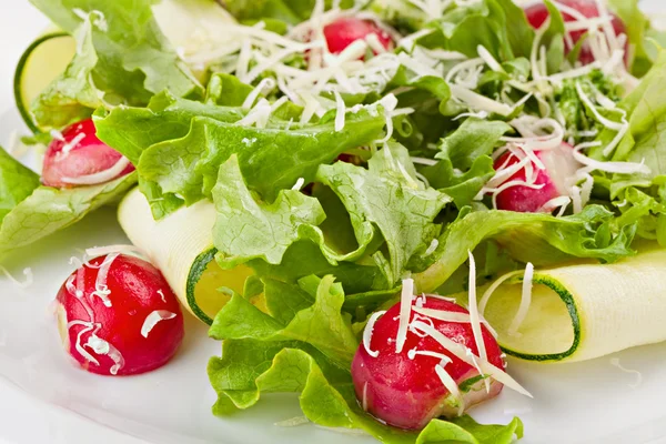 Gros plan sur la salade saine de légumes frais de printemps — Photo