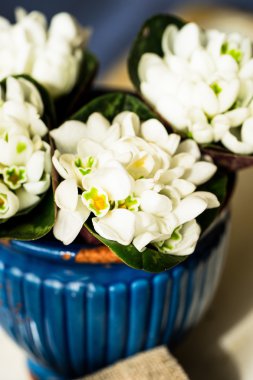 Mavi bir rustik vazoda beyaz bahar çiçekleri