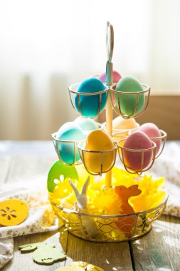 Paskalya yumurtaları sarı nergis ve Paskalya tavşanı ile dekoratif tepsisinde