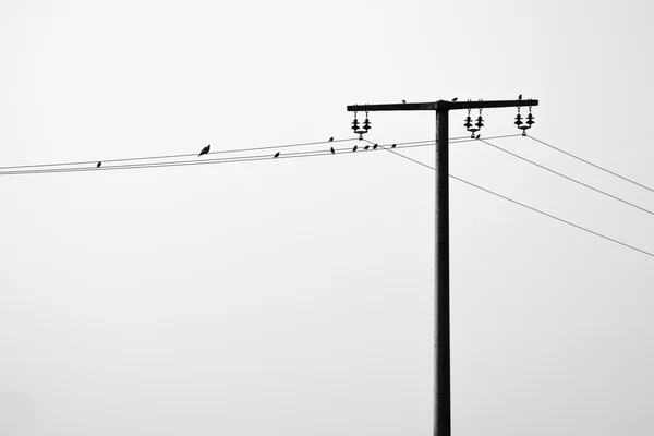 Línea eléctrica — Foto de Stock