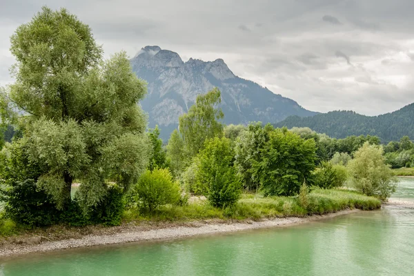 Sjön forggen — Stockfoto