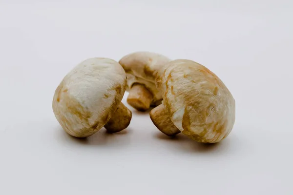 Mantar sağlıklı ve lezzetli yiyecekler.