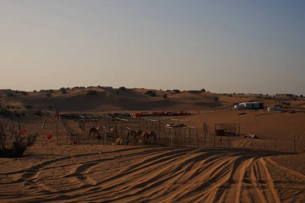 2019 yılında Dubai Çölü Safarisi