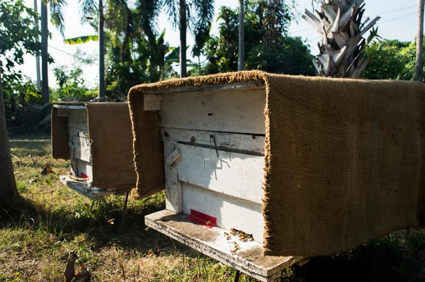 Boîtes en bois utilisées apiculture — Photo