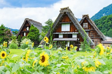 shirakawago, Japonya.