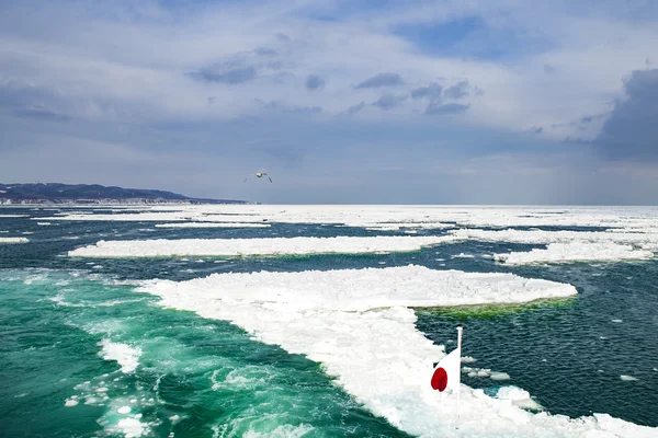 Buz Japonya'da, Ohotsk Denizi.