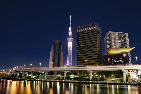 Tokyo siluetinin gece.