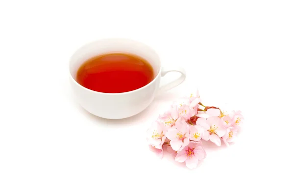 Flor de chá — Fotografia de Stock