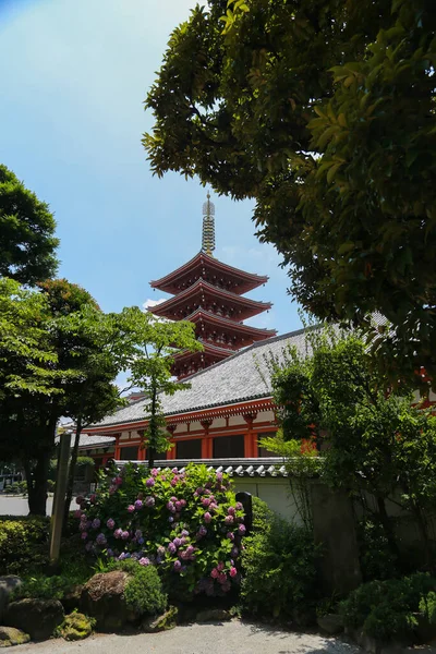 庭園に囲まれた東京寺院 — ストック写真