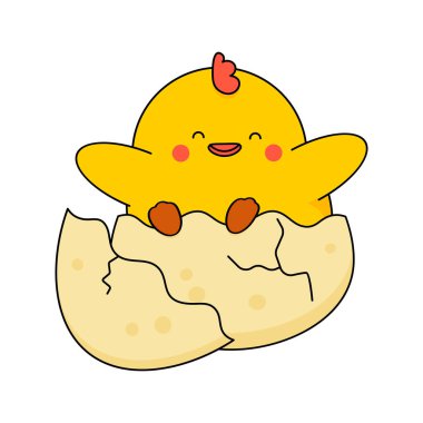 Yumurtadan çıkan şirin, mutlu bir tavuk. Paskalya ve diğer tasarımlar için çizgi film çizimi. Vektör beyazda izole edildi