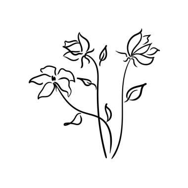 Flowers in line art style. Hand wood simple botanical bouquet.