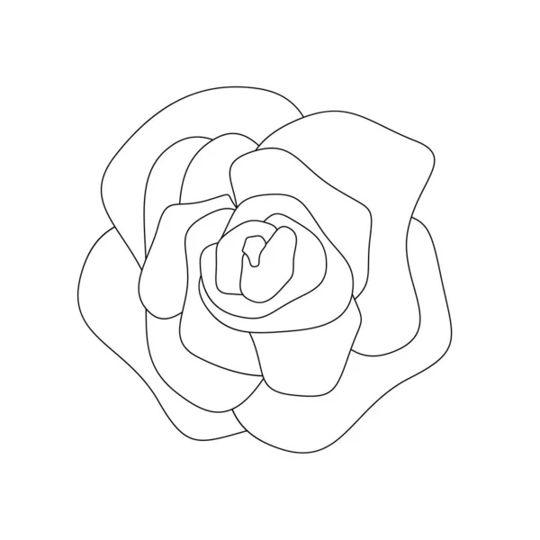 輪郭型の抽象花。バラのアイコンを開花。線形の現代の花. — ストックベクタ