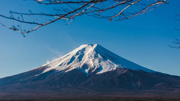 Fuji san Japonya kapatın