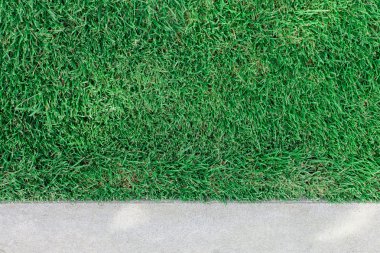 Beton ve yeşil çimen 