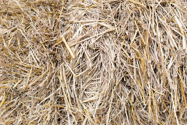 Messy Thatch — Stock Photo, Image