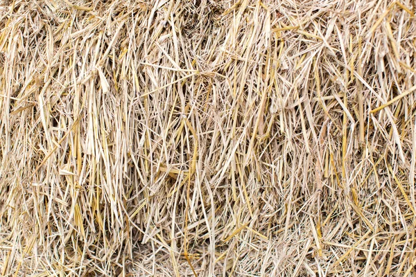 Messy Thatch — Stock Photo, Image
