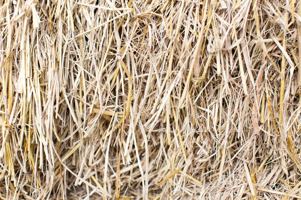 Messy Thatch — Stock Photo, Image