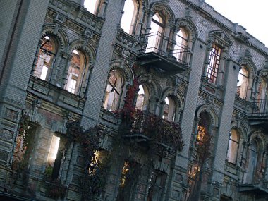 Güneşle aydınlatılan çok eski bir bina. Pencerelerde sarmaşık tomurcukları.