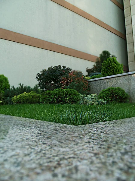 A landscape of green cuts and a lawn in a stone fencing against a white wall