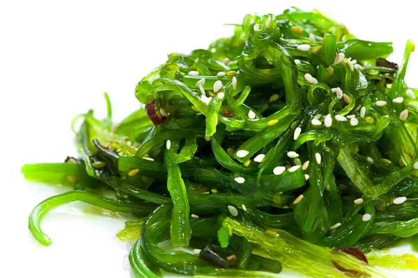 Salada de algas marinhas close-up isolado em wjite — Fotografia de Stock