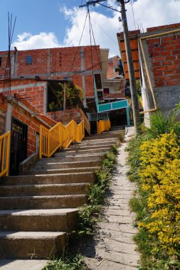 Kolombiya 'nın fakir kesiminde çiçekli ve sarı tırabzanlı basit beton merdiven.