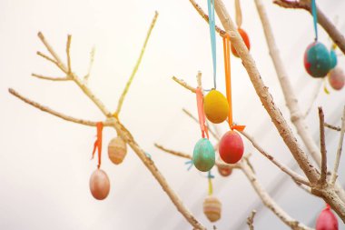 Colored Easter eggs decoration on tree, toned
