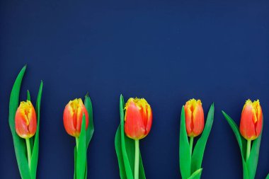 Mavi arkaplanda kırmızı ve sarı laleler