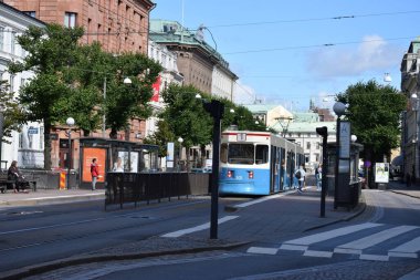 İsveç ormanının güzel görüntüleri