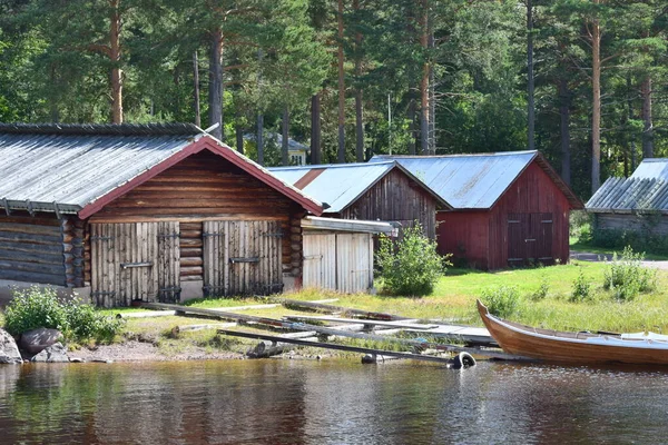 Bilder Des Schönen Schwedischen Waldes — Stockfoto