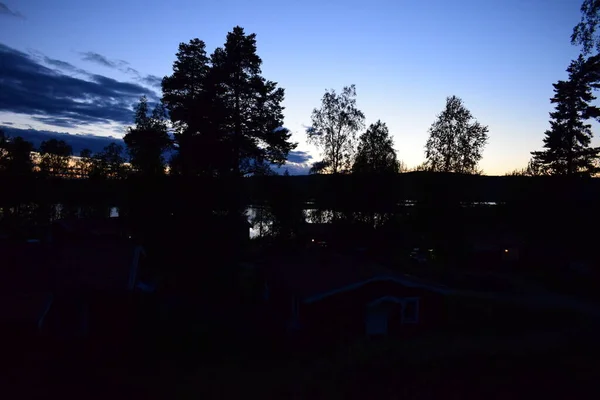 Bilder Des Schönen Schwedischen Waldes — Stockfoto