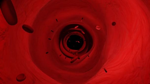 Medicinsk Animation Torkat Blod Röda Blodkroppar Rör Sig Artär Sömlös — Stockvideo