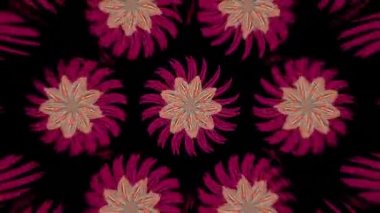 Dönen aynalı çok renkli çiçek. Çiçek deseni. Döngüye alınmış videoyu istediğiniz kadar genişletebilirsiniz. Giriş, çıkış ya da arkaplan için mükemmel 3D animasyon FullHD 60fps