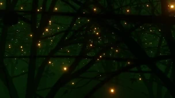 霧深い濃い緑の森の中にホタル 霧深い森の風景の3Dアニメーション — ストック動画