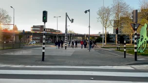 Rotterdam Netherlands May 2021 Pedestrian Crossing Music Abba Waterloo Turns — Stock Video