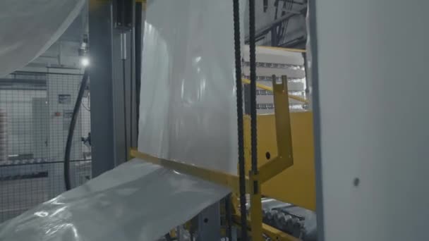 El trabajo de la máquina de envasado para la producción de productos de soplado de vidrio en la planta — Vídeos de Stock