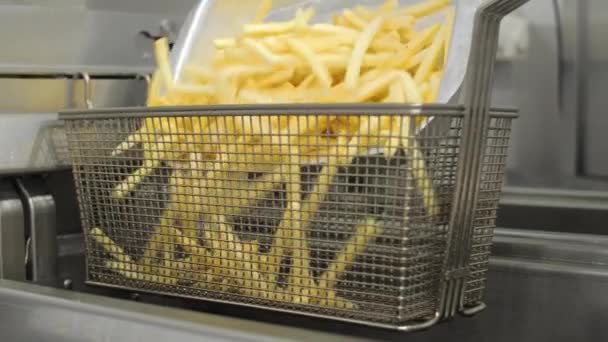 Bevroren frites worden overgebracht naar een metalen container voor het koken in olie — Stockvideo