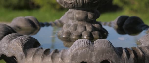 Detailní záběr na klidnou stálou vodu v nečinné fontáně na venkově v létě v chatové vesnici, parku a rekreační oblasti za horkého dne, odrazy ve vodě — Stock video