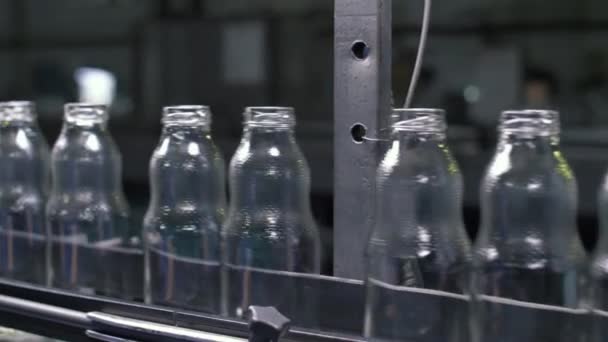 Bewegung der fertigen Produkte - Glasflaschen auf dem Förderband in der Glasfabrik, Produktionsarbeiter zieht eine der Flaschen vom Band, Arbeitsablauf in der Fabrik, funktionierendes Förderband — Stockvideo