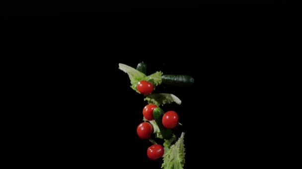 Natte sla, tomaten en komkommers vliegen omhoog en draaien met waterdruppels op een zwarte achtergrond in slow motion shot, water spat op groenten — Stockvideo