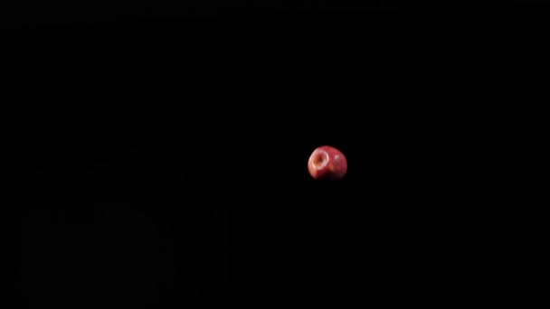 Κοντινό πλάνο σε ώριμο κόκκινο μήλο πετάει και γυρίζει σε μαύρο φόντο σε αργή κίνηση shot, ζωντανή απεικόνιση φρούτων, που φέρουν κόκκινο μήλο — Αρχείο Βίντεο