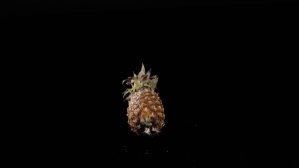 Nasse frische Ananas fliegt auf und dreht sich mit Wasserspritzern auf schwarzem Hintergrund in Zeitlupe, Wassertropfen auf Früchte — Stockvideo