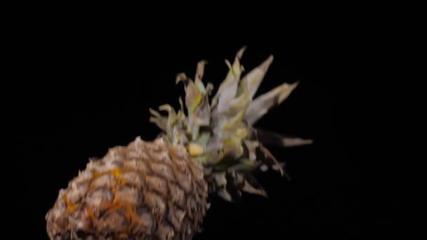 Close-up em um abacaxi fresco voa para cima e girando em um fundo preto no tiro em câmera lenta, gotas de água em frutas — Vídeo de Stock